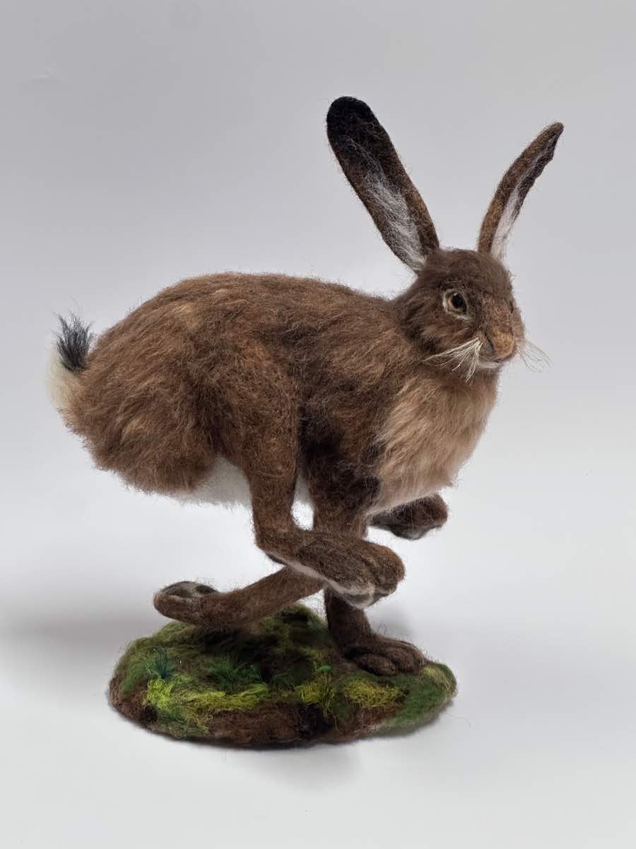 Darting Hare