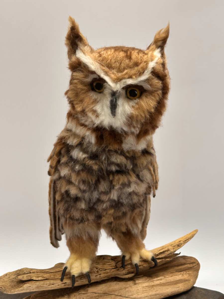 Great Horned Owl