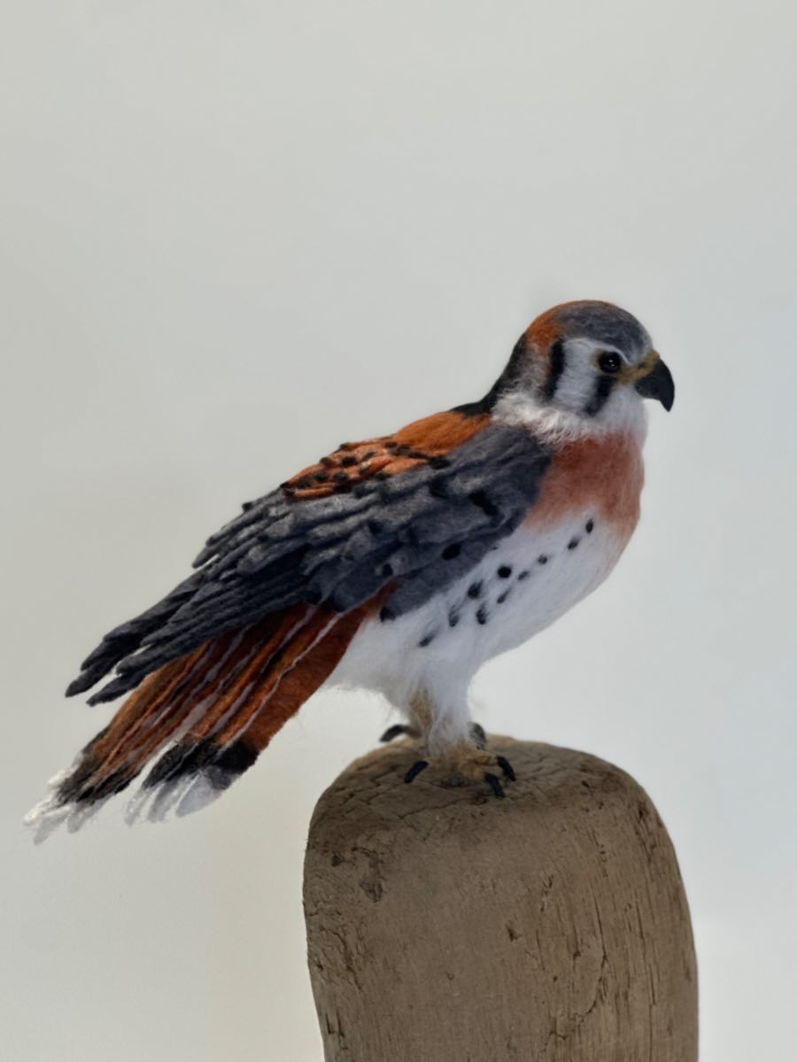 Kestral