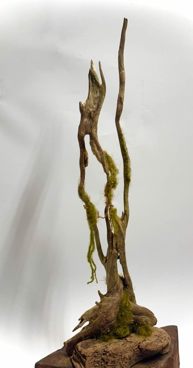 Mossy Enchantment copy