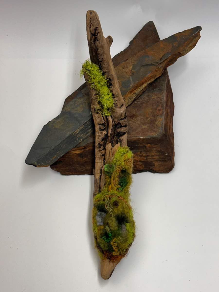 Mossy Wood