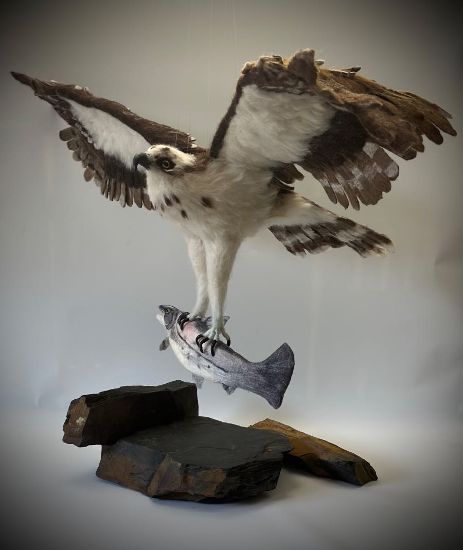 Osprey