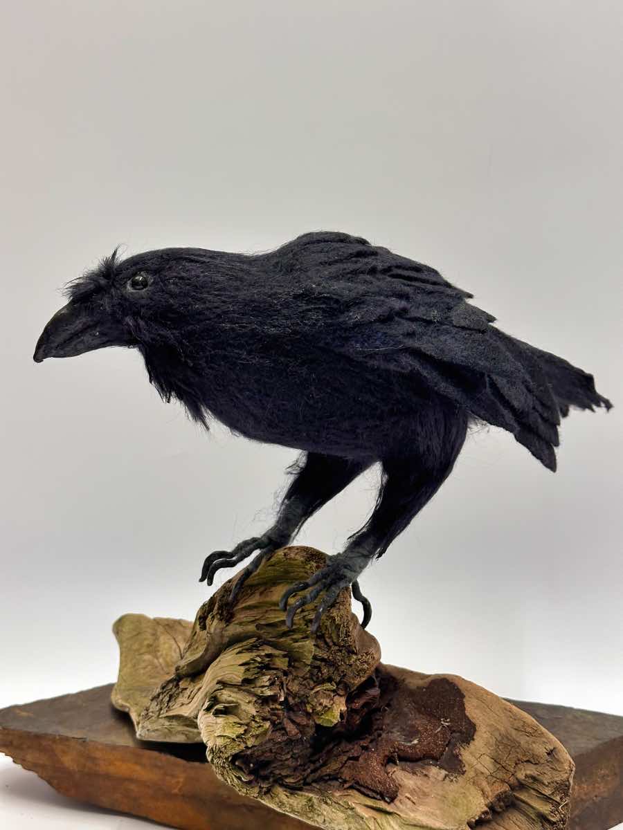 Raven 2P