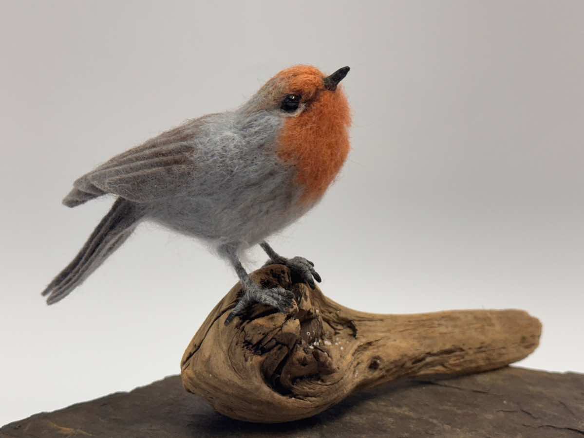 Robin