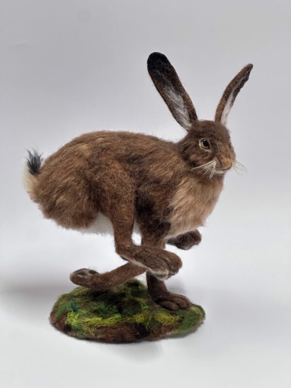 Darting Hare