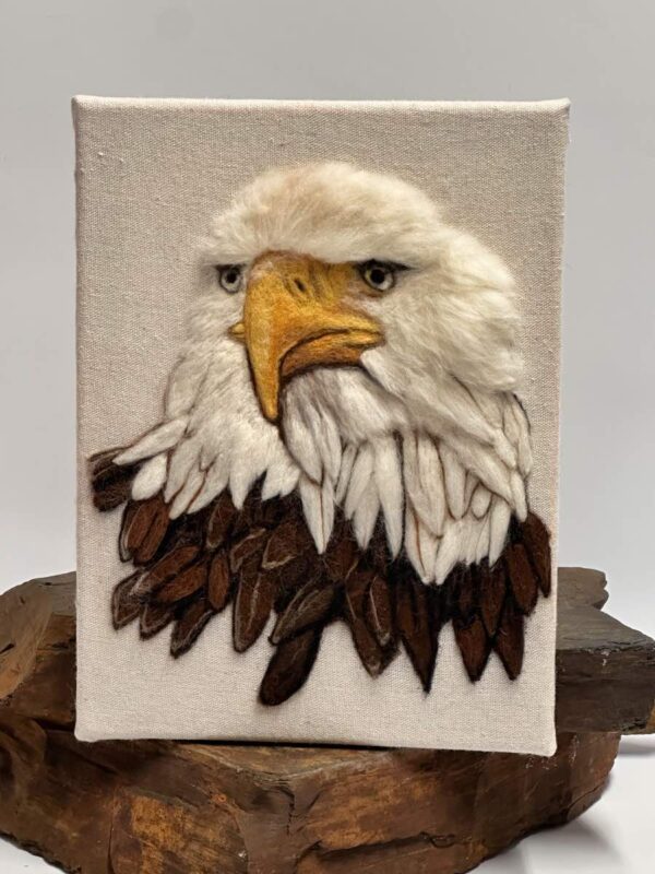 Bald Eagle Portrait