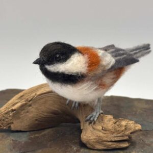 Chestnut Backed Chickadee