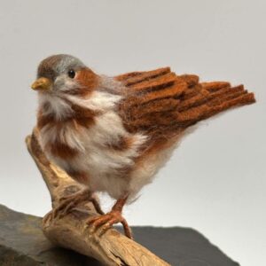 Fox Sparrow