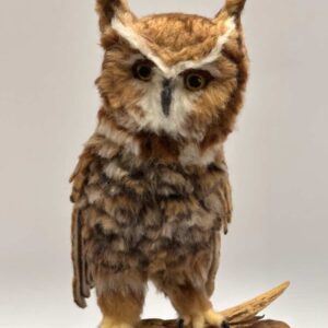 Great Horned Owl