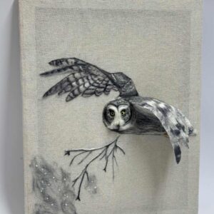 Great Grey Owl