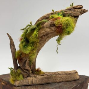 Mossy Arch