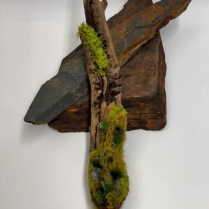 Mossy Wood