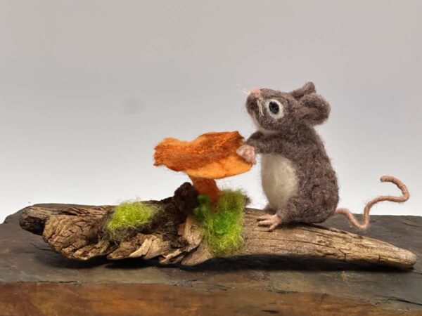 Chanterelle Mouse