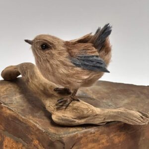 Pacific Wren