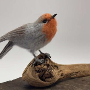 Robin