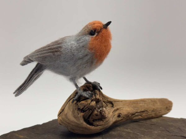 Robin
